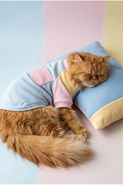 Kemique Bubbles Pastel Kedi Uyku Takımı | Mini Yastıklı Şeker Renkli Yazlık K...