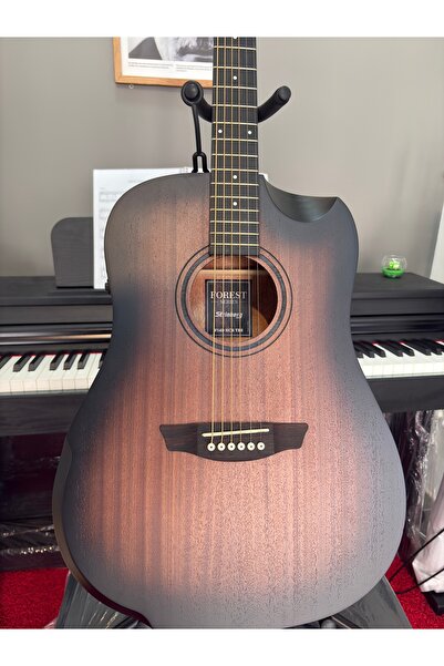 EB MUSİC Strinberg Forest FS4D elektro akustik gitar