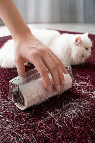 ATA HOME Lint Remover, Lint Removal Machine, Cat Hair Remover, Lint Roller, L...