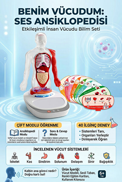 craftivio Türkçe Sesli İnsan Vücudu Modeli Eğitici Anatomi Bilim Seti 6+ Yaş