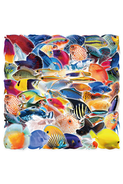 Choice 52PCS 52PCS Ocean Animal Fish Graffiti Sticker Personality Creative De...