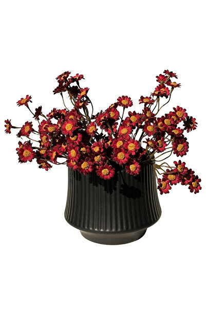 MirageBotanics Cream Nordic Style Black Color Bohemian Ceramic 18.5x17.5 cm C...