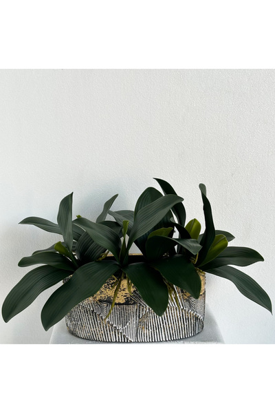 MirageBotanics Cream Nordic Style Silvery Color Bohemian Ceramic 21x11 cm Cub...