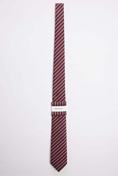PAULMARK Men's Striped Classic Tie