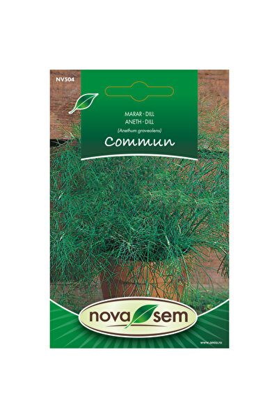 Novasem Seminte de marar Novasem, 4 g