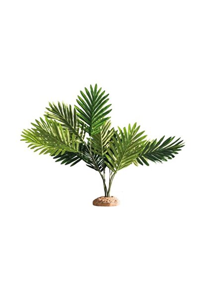 Hobby Palm Διακοσμητικό Φυτό 60×40×55cm