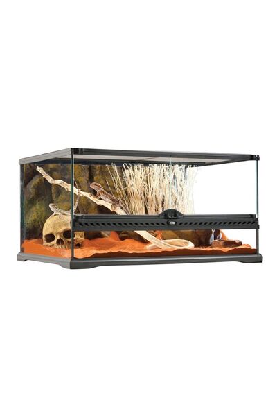 Exo Terra Φυσικό Τεράριουμ Medium Χαμηλό 60×45×30cm