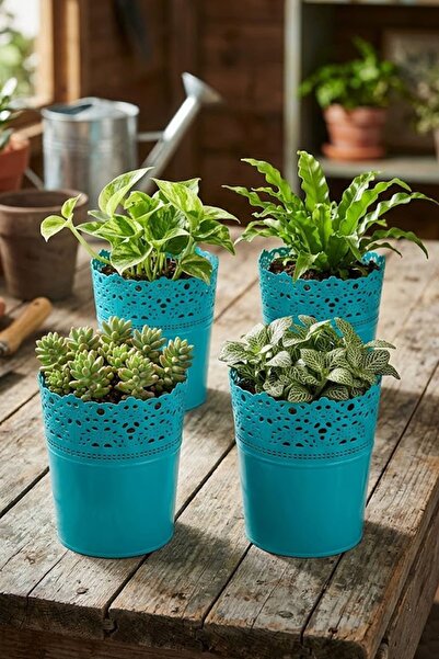 Alezy DAS2 Dantel No:2 - 2.3 Litre Plastik 4'lü Saksı