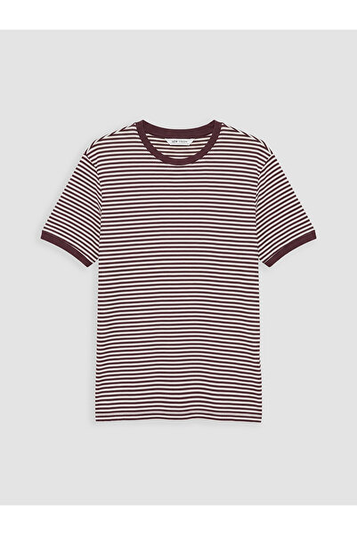 LC Waikiki Lcw Vision Plum Crew Neck Striped Combed Cotton Men's T-Shirt