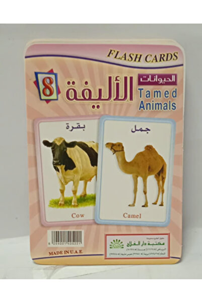 Genaric Flash Card - Pets