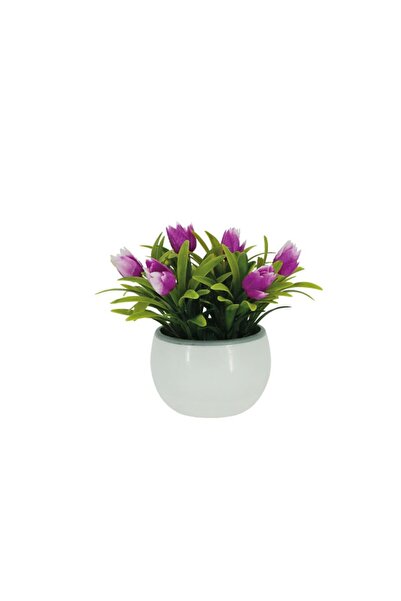 MARHOME Γλαστρακι Λευκο με Τουλιπες Λιλα - 8.5x8.5x13cm 1/120Kib 00-00-19318-2
