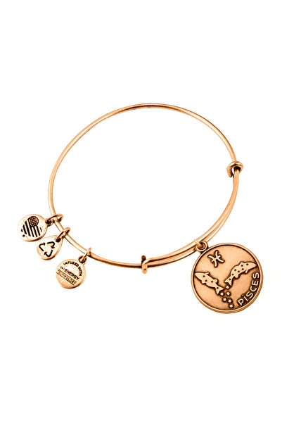 Alex and Ani Bratara Metal A13EB01PIRG