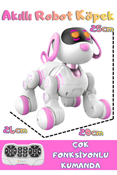 Boratila Toys Uzaktan Kumandalı Şarjlı Çok Fonksiyonlu Eğitici ve Öğretici İn...