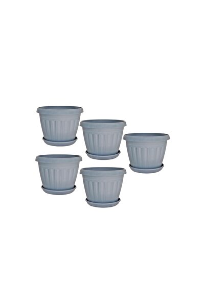 Ch Five Circular Agricultural Basins with a Diameter of 20 cm