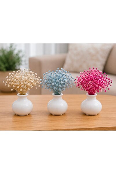 MİRAY FLOWERS HEDİYELİK 3 renk Modern Dekoratif Masa Cipso Çiçeği Minimal Tas...