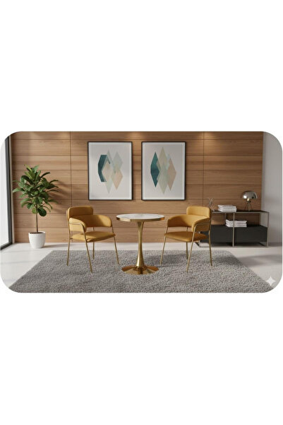 luxino Elegant 3-piece cafe set two chair in a gray color and a round table w...
