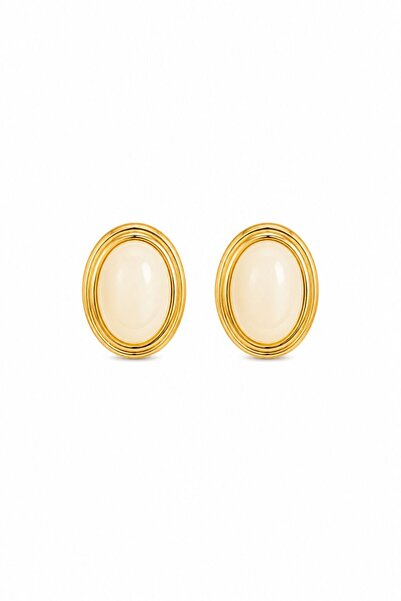 Charmist Steel elara earrings