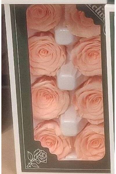 OEM Trandafiri criogenati, 8 bucati/cutie, diametru 5 cm Piersica