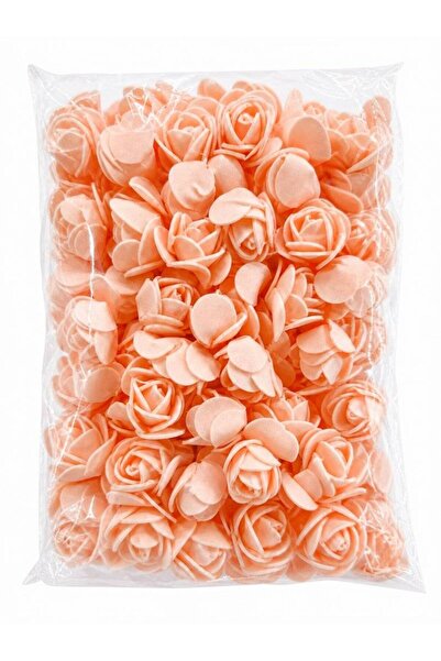 OEM Foam Roses Salmon 3cm 500/ Top Bottom Set