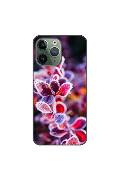 OEM Husa compatibila cu Apple iPhone 11 Pro Silicon Gel Tpu Model Flori Inghe...