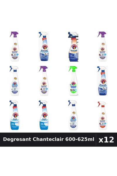 Chanteclair Set 12 Degresant Universal 600-625ml - 8 Arome Asortate Curatenie...