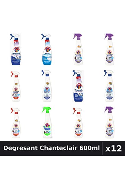Chanteclair Set 12 Degresant Universal 600ml - 7 Arome Asortate - Curatenie Casa