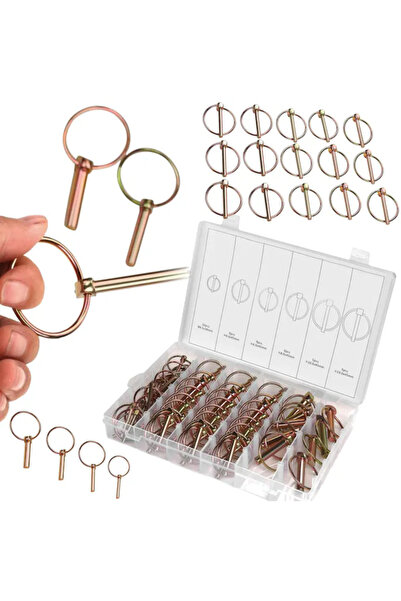 zola Set 50 bolturi cu siguranta tip inel, otel galvanizat, diferite dimensiu...