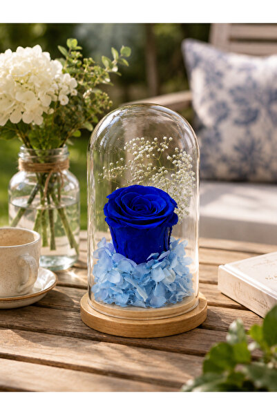 Rafal Permanent Rose Guri Blue