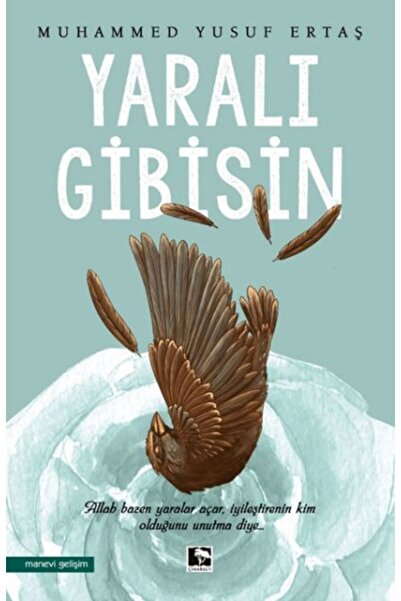 Çınaraltı Yayınları Yaralı Gibisin