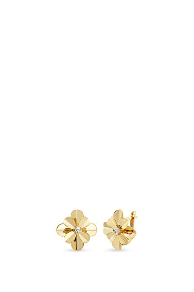 ORENA JEWELRY Florin 14 Ayar Altın Kadın Küpe