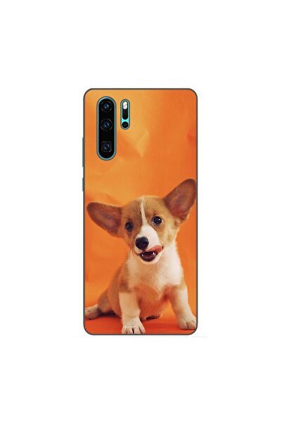 OEM Husa compatibila cu Huawei P30 Pro Silicon Gel Tpu Model Catelus