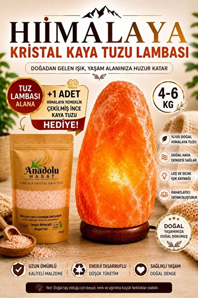 ANADOLU HASAT Himalaya Kristal Kaya Tuzu Lambası 4-6 Kg + 500 Gr Himalaya Öğü...