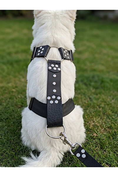 balkonda Dog Chest Collar H Type Large Breed Adjustable 5 cm Width Column Cor...