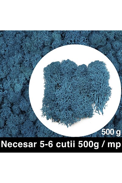 Roberto Rossi Licheni curatati si fara radacina conservati 500g NET, calitate...