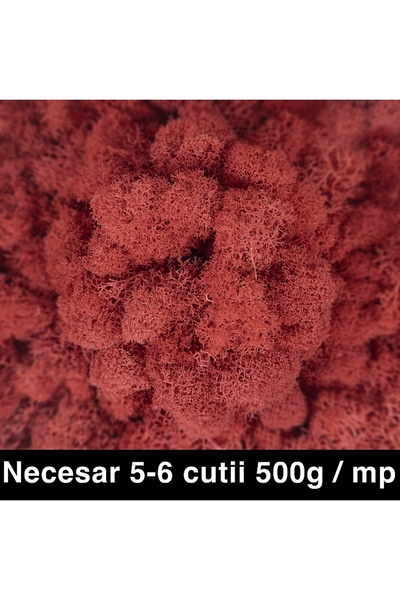 Roberto Rossi Licheni curatati si fara radacina conservati 500g NET, calitate...