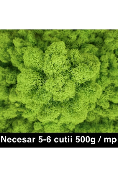 Roberto Rossi Licheni curatati si fara radacina conservati 500g NET, calitate...
