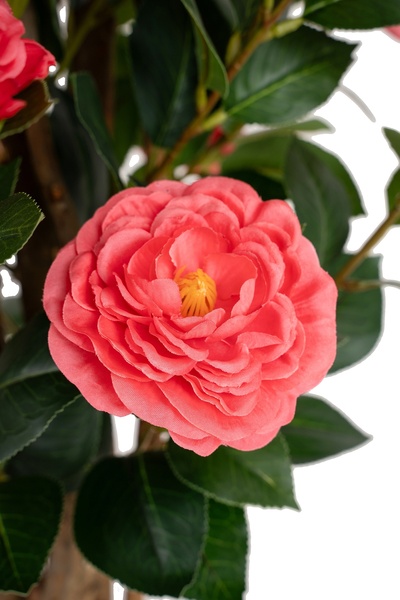 Roberto Rossi Copac artificial Camelia Japonica H120 cm cu 464 frunze si 64 flori roz