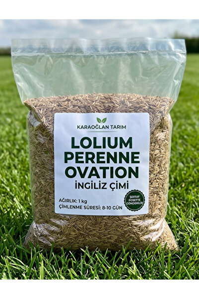 karaoğlan tarım Lolium Perenne Ovation İngiliz Çimi Tohumu 1 kg (8-10 Günde H...