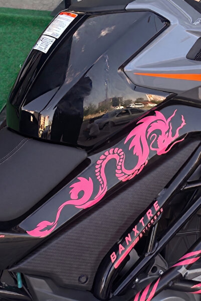 Banxtre مجموعة ملصقات CFMOTO NK250 المتوافقة مع تصميم Dragon Design متوسطة ال...