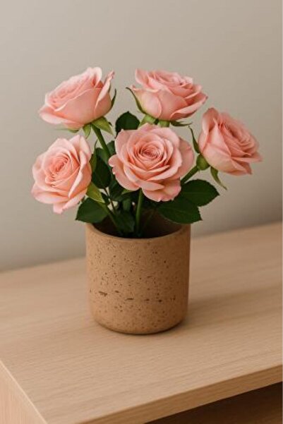 Generic Plant pot with natural stone design