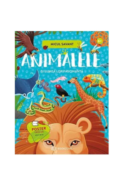 Editura Bookzone Animalele și Lumea lor Fascinantă, - Editoria Bookzone