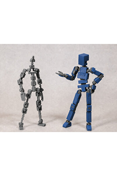 MFM3D DummyQ