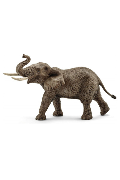 SCHLEICH Elefant taur african