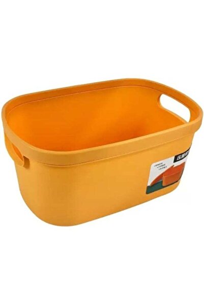 Day To Day Desktop Storage Bin With Handle And Lid, Plastic Multipurpose Bask...