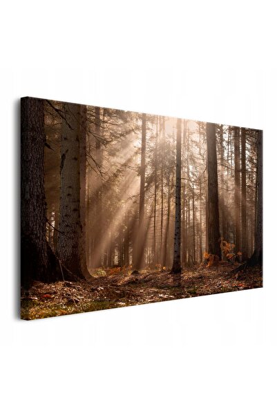 Naklejkomania Tablou pe panza de perete pentru camera de zi, decor, peisaj fo...