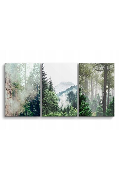 Naklejkomania Set tablouri, 3 picturi pe panza triptic padure ceata decor pen...