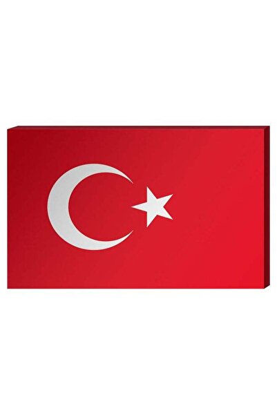 Atiq Turkish Flag Wall Decor Painting With Inner Frame Red/White 40 x 60centi...