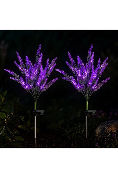 CumparaMisim Set 2 Lămpi Solare Decorative Tip Lavandă – Iluminare LED, Desig...