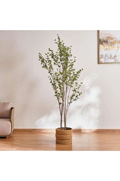 PAN HOME شجرة الزيتون مع وعاء، ارتفاع 240 سم - خضراء
