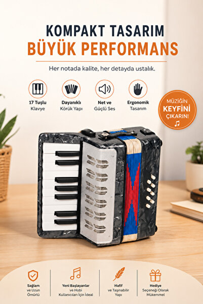Furia Orta Boy Çocuk Akordiyonu 6-15 Yaş Siyah Gri Eğitici Müzik Aleti